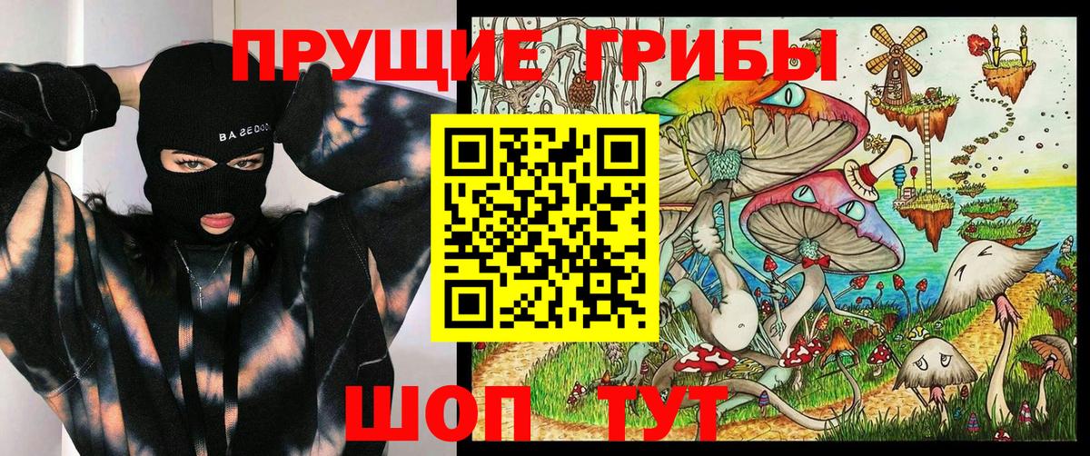 Галлюциногенные грибы мицелий Карпинск