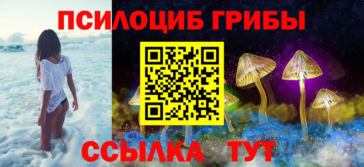 Карпинск  Псилоцибиновые грибы Psilocybine cubensis  Галлюциногенные грибы GOLDEN TEACHER  Вход с VPN 