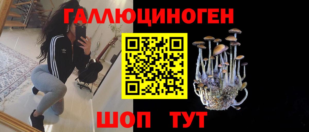 Псилоцибиновые грибы Cubensis Карпинск